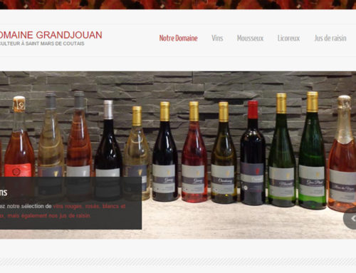 Domaine Grandjouan – Saint Mars de Coutais