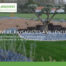 Antiopa site internet Jardivert paysagiste 44580